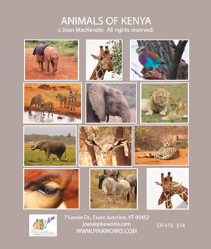 Kenya photo back